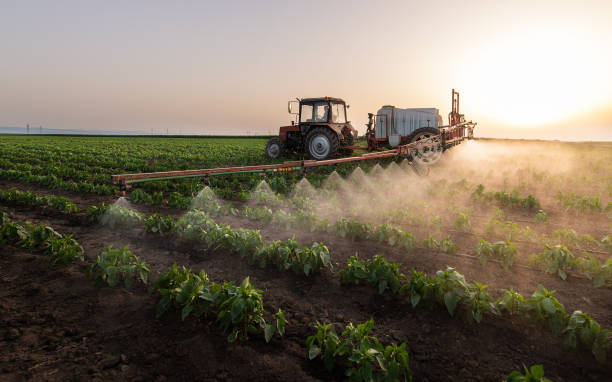 Best Mosquito Control Services  in Hillsborough, NJ
